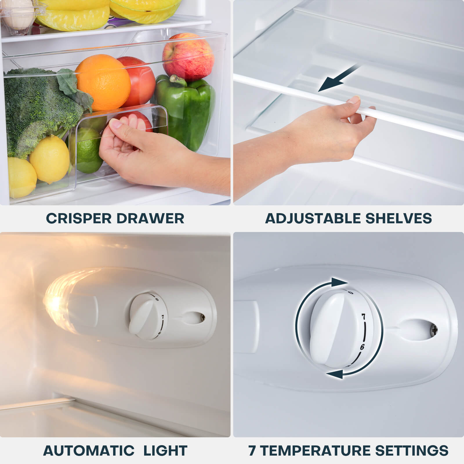 Mini fridge sales with crisper drawer